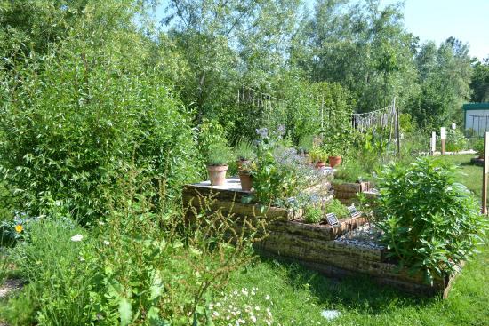 Ecosite du Bourgailh