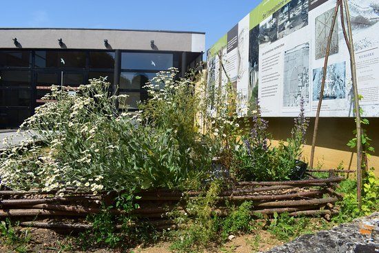 Musee Archeologique de Civaux