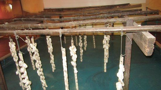 Musée de l'étang de Thau