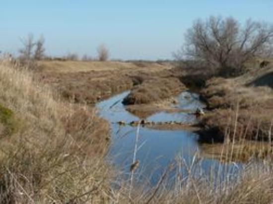 Reserve Naturelle de Bagnas