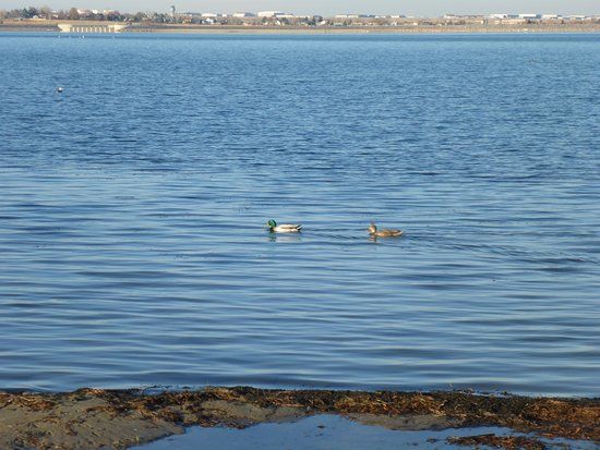 Standley Lake Regional Park