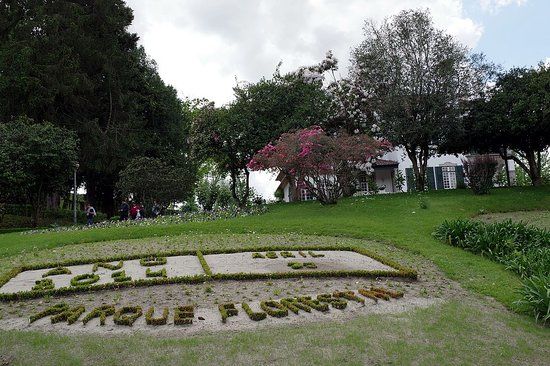 Parque Florestal de Amarante