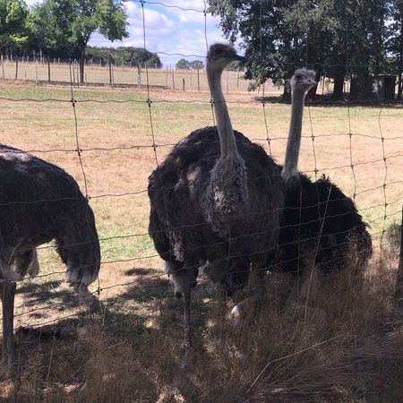 Parc Animalier Colline Enchantée