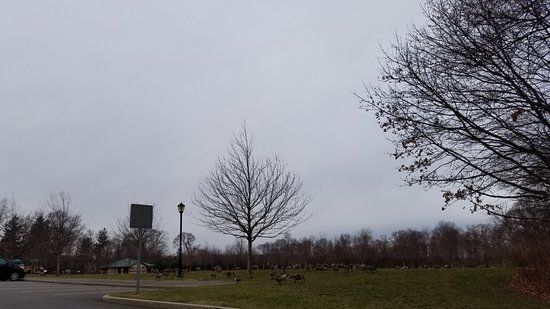 Raynor Beach County Park