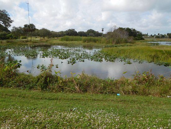 Snake Warrior Island Natural Area