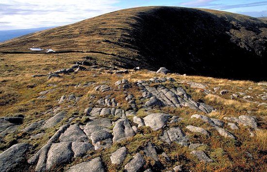 Cairnsmore of Fleet National Nature Reserve