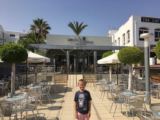 Heladeria y Cafeteria Limon y Menta