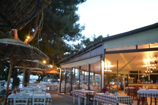 Provlita Fish Restaurant-Cafe-Bar