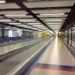 Restaurant Xine's Gran Mon