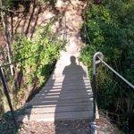 Restaurante El Mollo