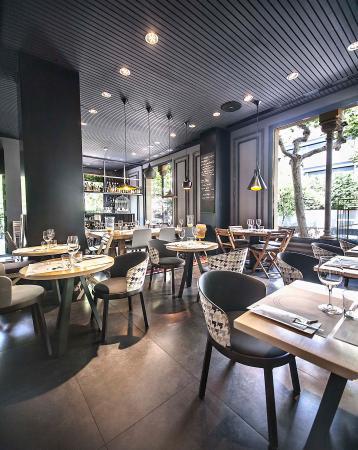 La Jacaranda del Dos Torres