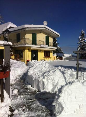 Il Laghetto di Barbieri Sonja & C snc