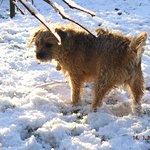 Muzzys Kebab & Pizza