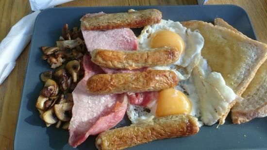 Under the Umbrella Tree