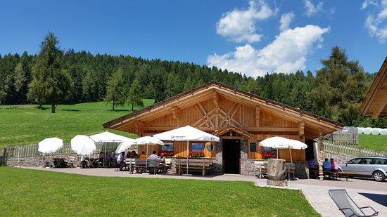 Lingeralm