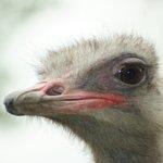 Snackbar De Brouwerij