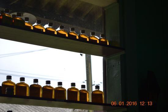 Confraria Do Cambuci