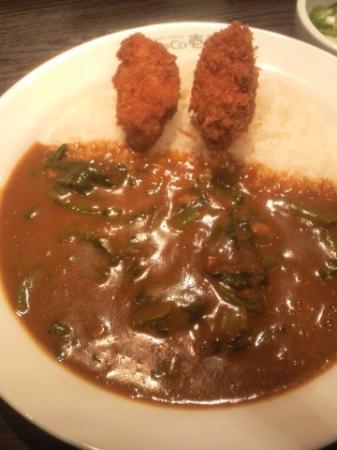 Coco Ichibanya JR Hashimoto North Entrance