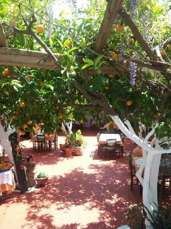 To Perivoli tis Gogos