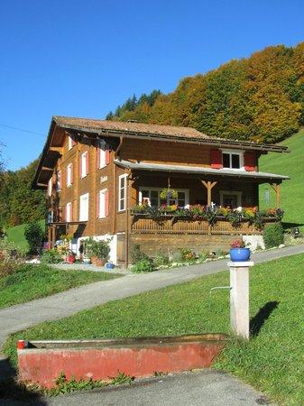 Pension&Baizli Plandadein