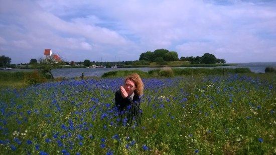 Rodvig Fiskebutik & Restaurant