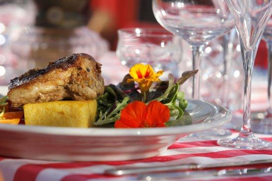 Sydkustens at Pillehill