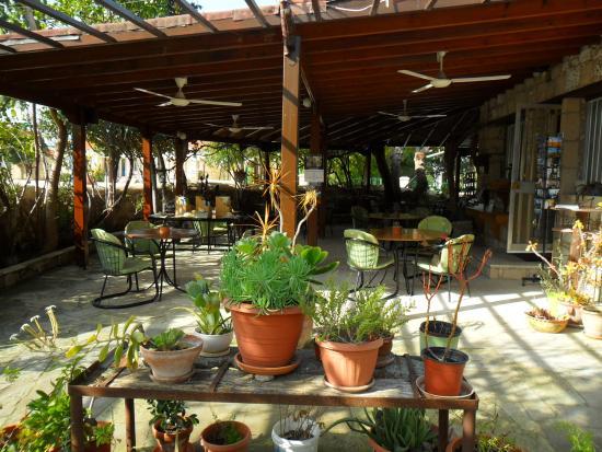 Art Cafe Kivotos 3000