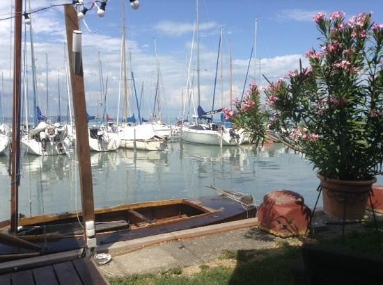 Calypso Cafe & Restaurant