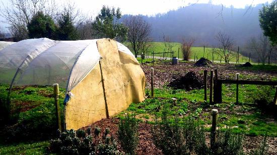 Societa Agricola Bagaggera