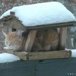 Margo Lounge & Business Resort Restaurant