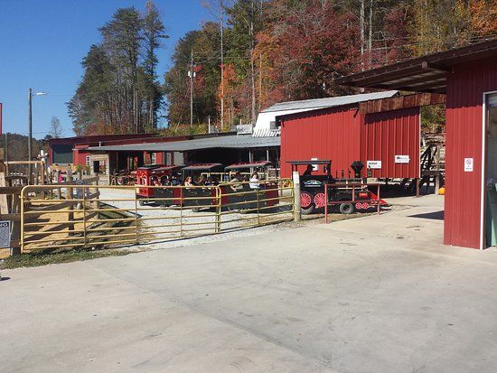 Hillside Orchard Farms