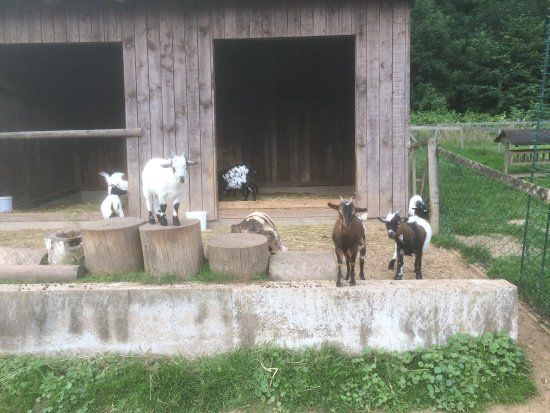 Tierpark Bad Liebenstein
