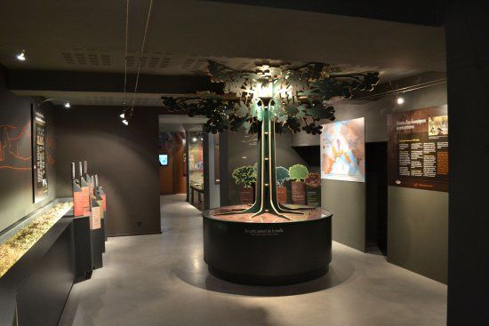 Maison de la Truffe d'Occitanie