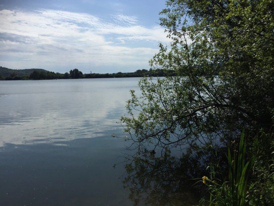 Parc Naturel des Etangs