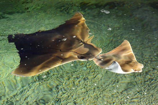 Zoo and Chateau Zlin-Lesna