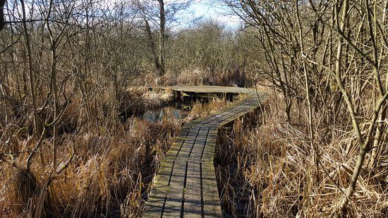 Ravnstrup sø & Naturreservat