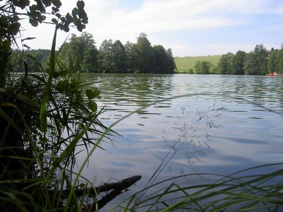 Leitgeringer See