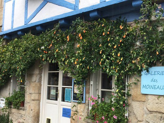 Galerie des Moineaux