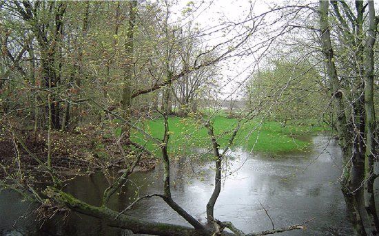 Bass River Recreation Area