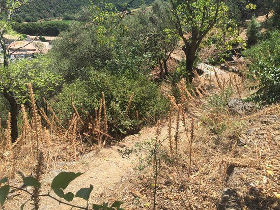 Jardin Méditerranéen du Mas de la Serre