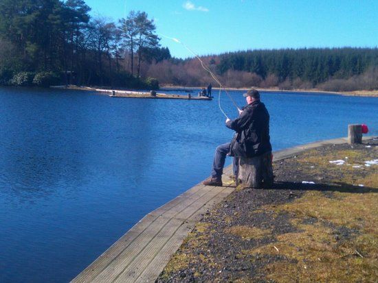 Lawfield Trout Fishery