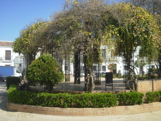 Plaza del Ayuntamiento