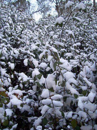 Montes de Málaga Natural Park
