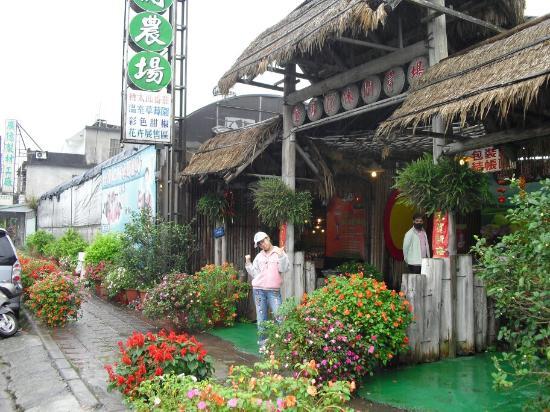 Jin Yong DIY Recreation Farm