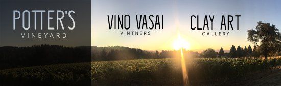 The Potter's Vineyard