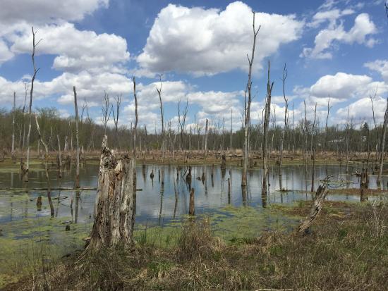 Shawnee Prairie Preserve