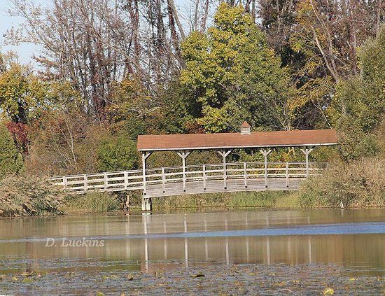 Robert H. Long Nature Park