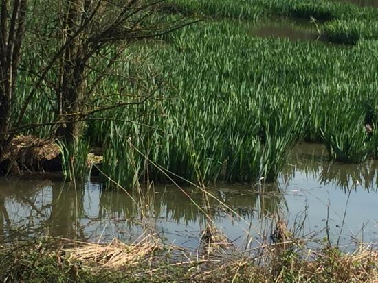 Riserva Naturale Crava Morozzo