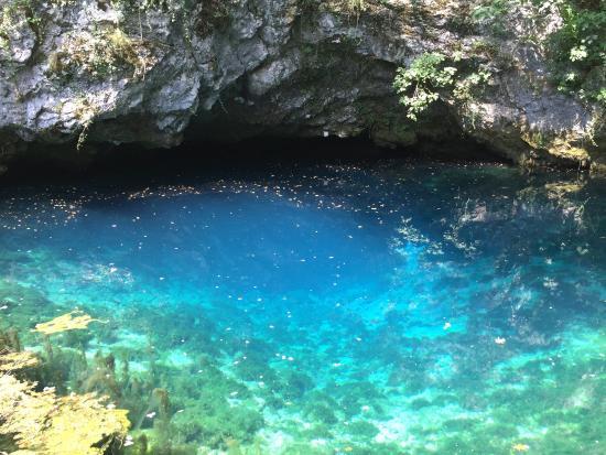 Sorgente del Gorgazzo