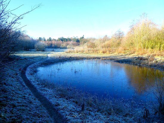 Baardwijkse Overlaat